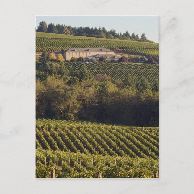 Postal Edificio bronceado de Archery Summit se encuentra  (Anverso)