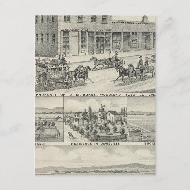 Postal Edificio de bosques del condado de Yolo (Anverso)
