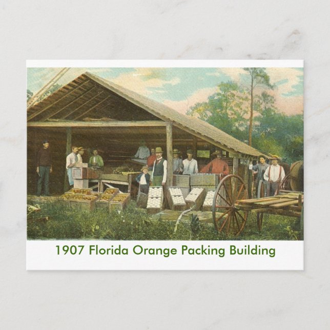 Postal Edificio de empaquetado de naranjas (Anverso)