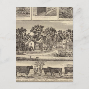 Postal Edificios de la granja Clenona Stock Farm en Daven