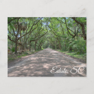 Postal Edisto Postcard
