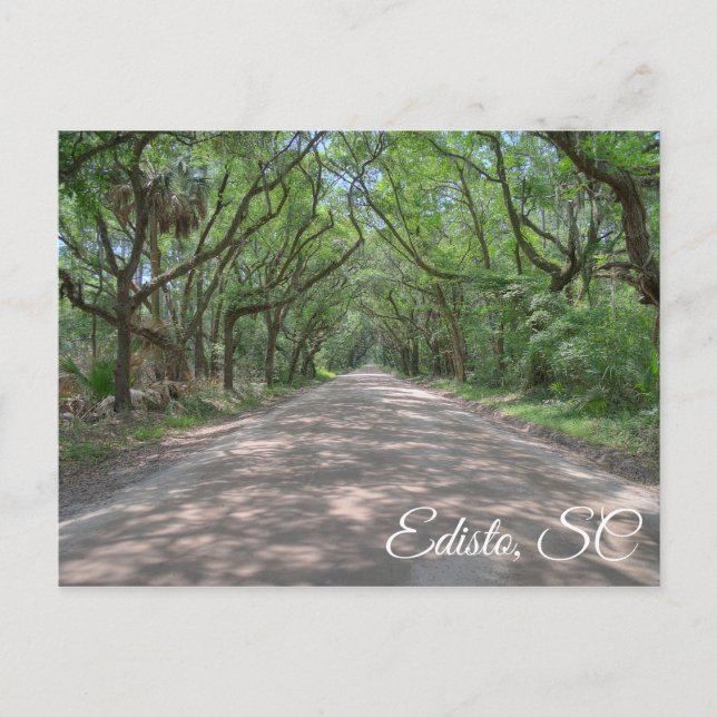 Postal Edisto Postcard (Anverso)