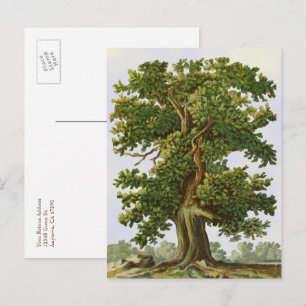 Postal editable de roble vintage