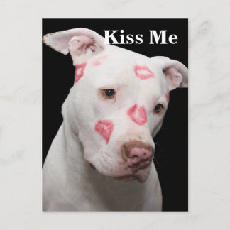 Postal Editable Pitbull Lover