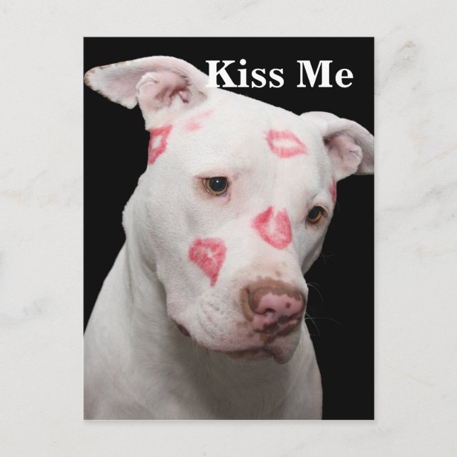 Postal Editable Pitbull Lover (Anverso)