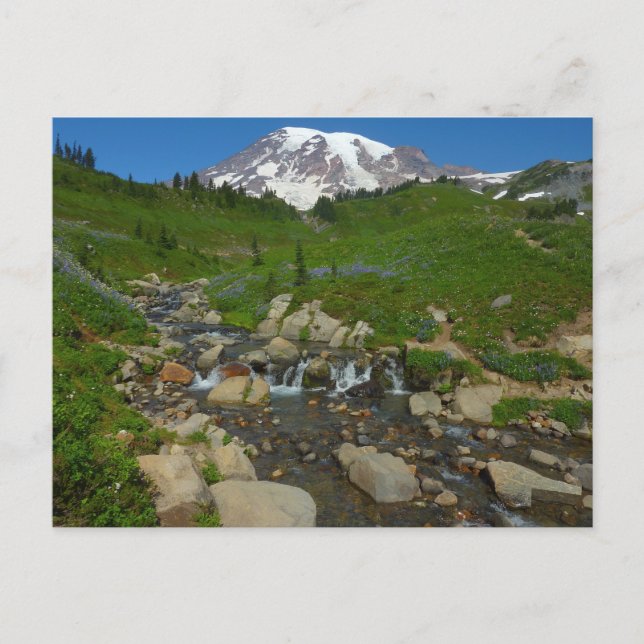 Postal Edith Creek en el Parque Nacional Mount Rainier (Anverso)