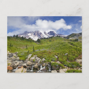 Postal Edith Creek y los prados de flores silvestres en P