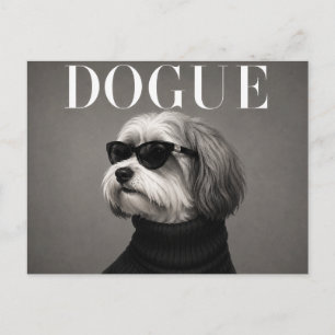 Postal Editorial de moda de lujo Havanese