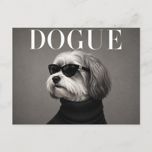 Postal Editorial de moda de lujo Havanese (Anverso)