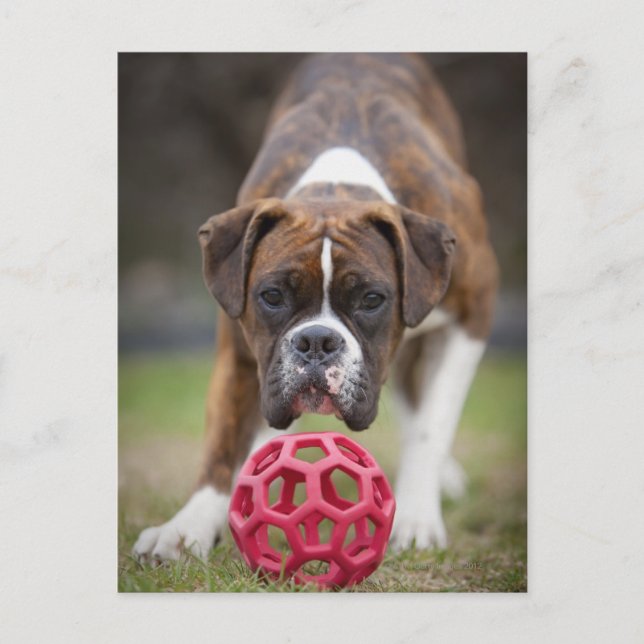 Postal edmonton alberta canada (Anverso)