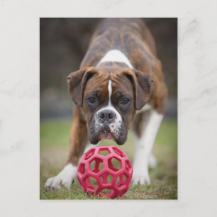 Postal edmonton alberta canada