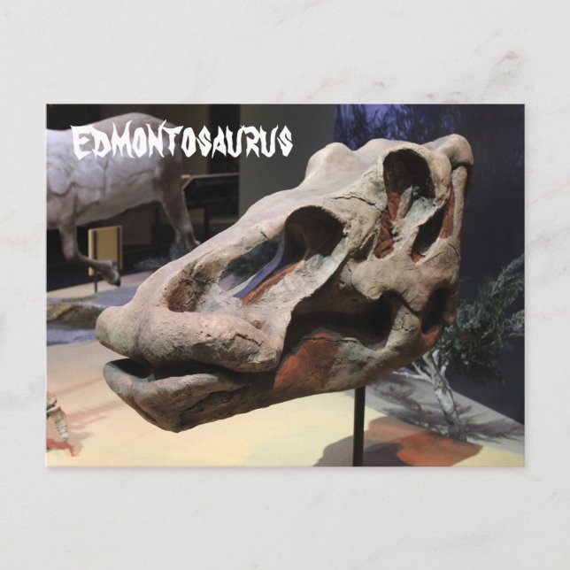 Postal Edmontosaurus (Anverso)