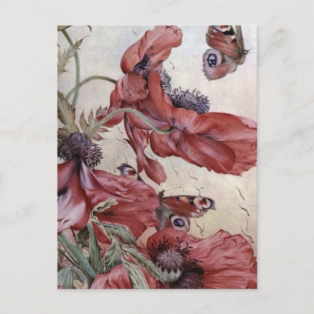 Postal Edward Julius Detmold Poppies Y Mariposas (Anverso)