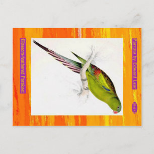 Postal Edward Lear. Paracaídas con flores.