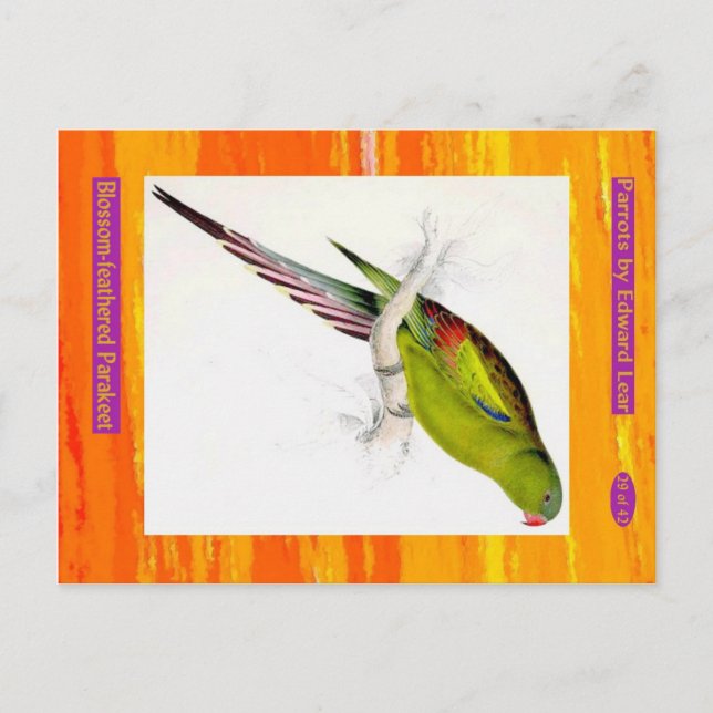 Postal Edward Lear. Paracaídas con flores. (Anverso)