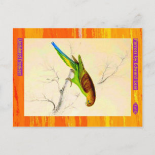 Postal Edward Lear. Paracaídas ondulado.