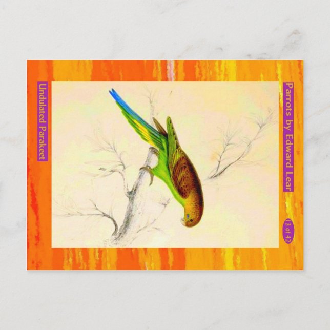Postal Edward Lear. Paracaídas ondulado. (Anverso)