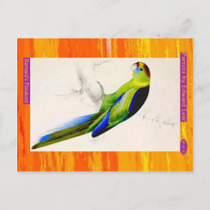 Postal Edward Lear. Paraíso de Barnard.
