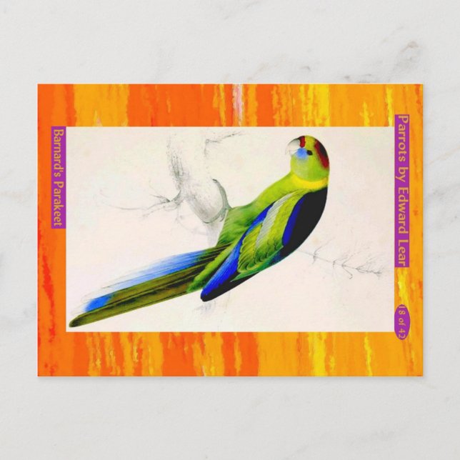 Postal Edward Lear. Paraíso de Barnard. (Anverso)