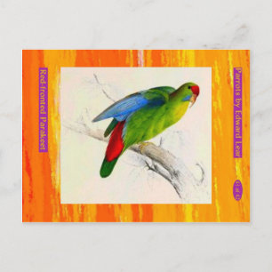 Postal Edward Lear. Parakeet de frente rojo.