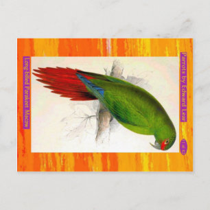 Postal Edward Lear. Parakeet Macaw, de larga factura.