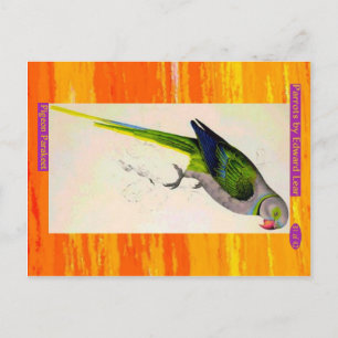 Postal Edward Lear. Pigeon Parakeet.