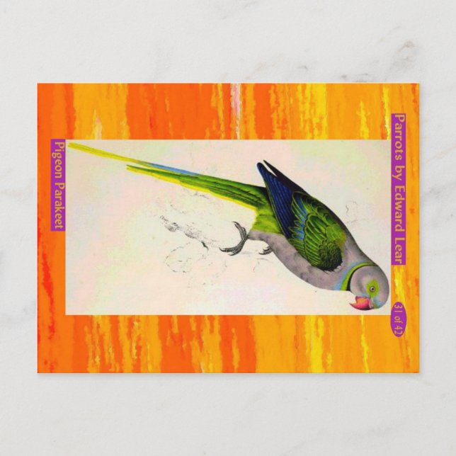 Postal Edward Lear. Pigeon Parakeet. (Anverso)