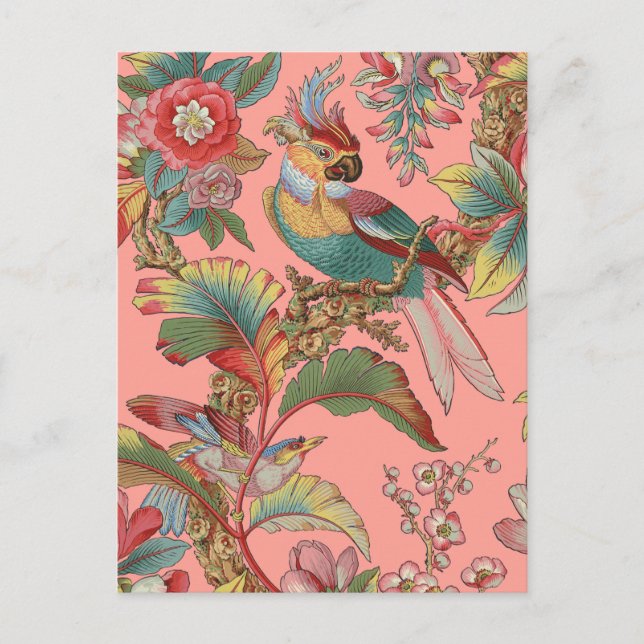 Postal Edwardian Parrot ~ Duchess (Anverso)