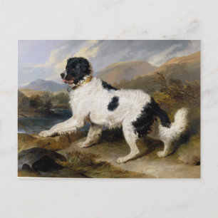 Postal Edwin Henry Landseer Lion A Newfoundland Dog