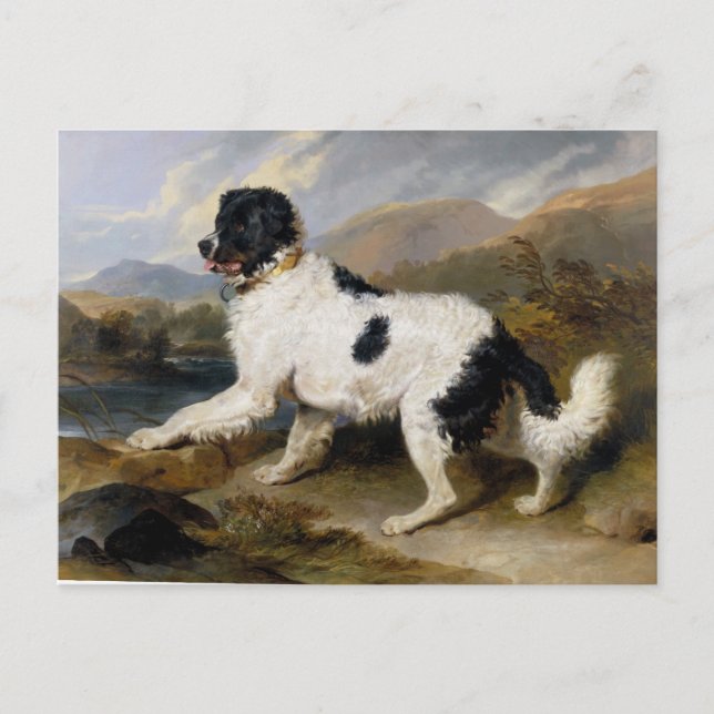 Postal Edwin Henry Landseer Lion A Newfoundland Dog (Anverso)