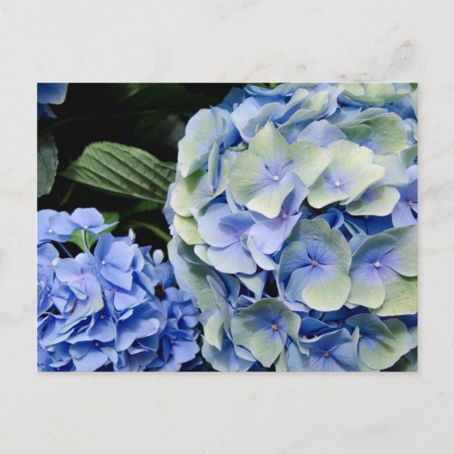 Postal EE.UU., Alabama, Theodore Near Mobile 2 (Anverso)