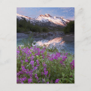 Postal EE.UU., Alaska, Alsek-Tatshenshini Wilderness.