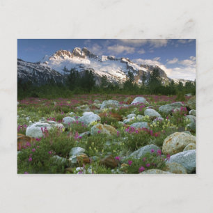 Postal EE. UU., Alaska, Alsek-Tatshenshini Wilderness. Vi