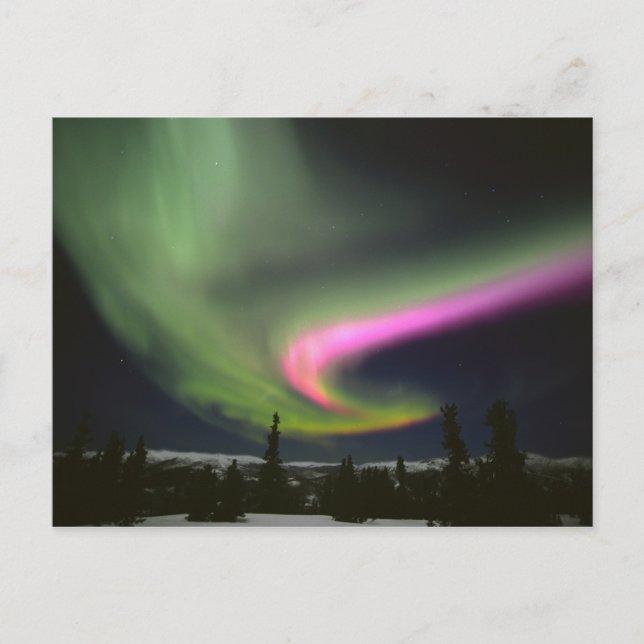 Postal EE. UU., Alaska, Chena Hot Springs. Aurora 2 (Anverso)
