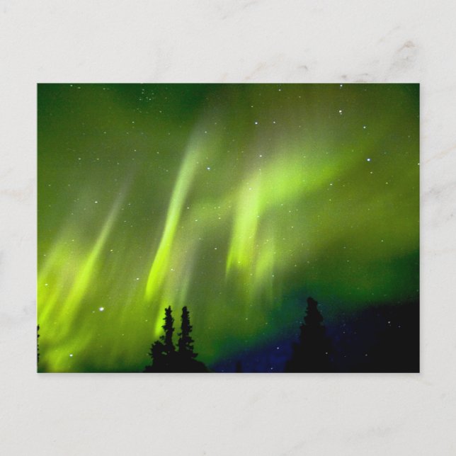 Postal EE. UU., Alaska, Chena Hot Springs. Aurora 3 (Anverso)