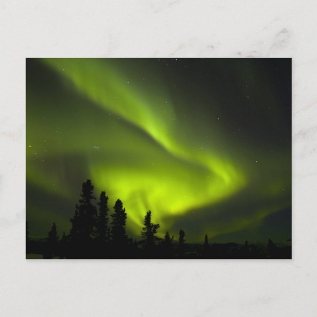 Postal EE. UU., Alaska, Chena Hot Springs. Aurora Boreal  (Anverso)