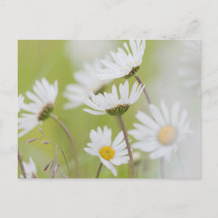 Postal EE.UU., Alaska, Parque Nacional de la Bahía del Gl