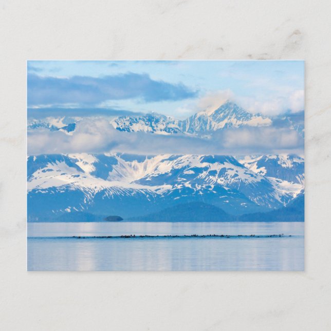 Postal EE. UU., Alaska, Parque Nacional Glacier Bay 7 (Anverso)
