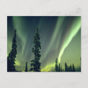 Postal EE. UU., área de Fairbanks, Alaska central, Aurora