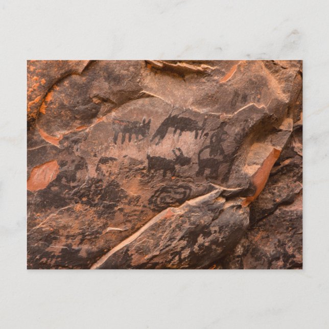 Postal EE. UU., Arizona, Bosque Nacional Coconino, Palatk (Anverso)