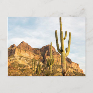 Postal EE. UU., Arizona, Bosque Nacional Tonto, Picketpos