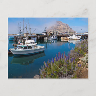 Postal EE. UU., California. Barcos atracados en la bahía 