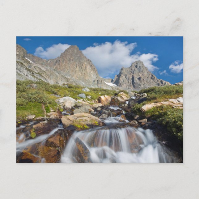 Postal EE. UU., California, Bosque Nacional Inyo 14 (Anverso)