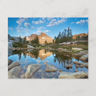 Postal EE. UU., California, Bosque Nacional Inyo. 2