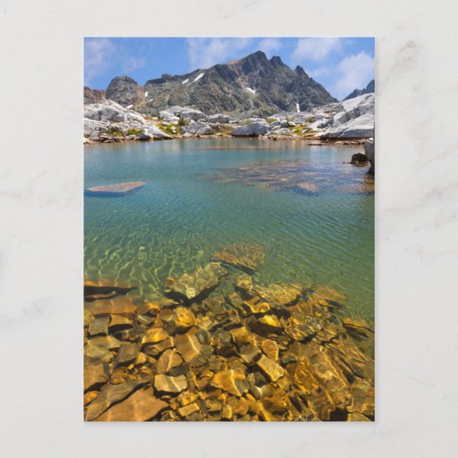 Postal EE. UU., California, Bosque Nacional Inyo 8 (Anverso)