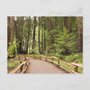 Postal EE. UU., California, Condado de Marin, Muir Woods