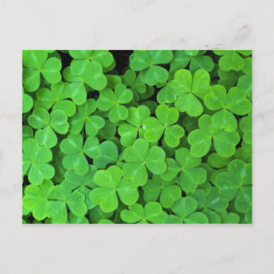 Postal EE.UU., California, Jedediah Smith Rewood SP.