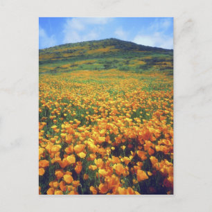 Postal EE. UU., California, Lago Elsinore. California