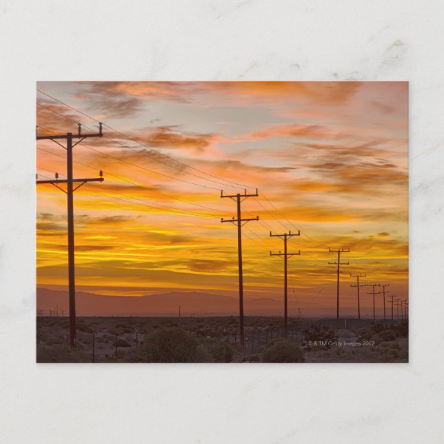 Postal EE. UU., California, Palm Springs, línea eléctrica (Anverso)