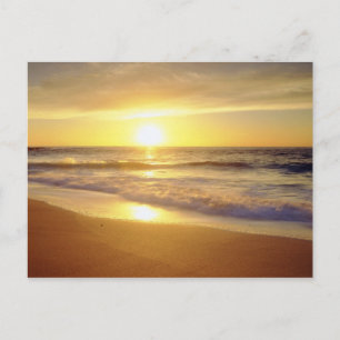Postal EE.UU., California, San Diego. La Jolla